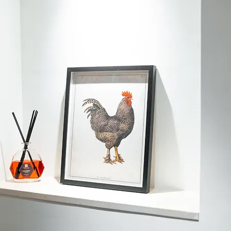 Casa Carde' شقة *